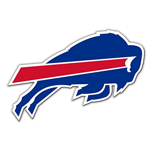 Fremont Die NFL Shop Authentic 12" Magnet Team Banner Helmet/Logo