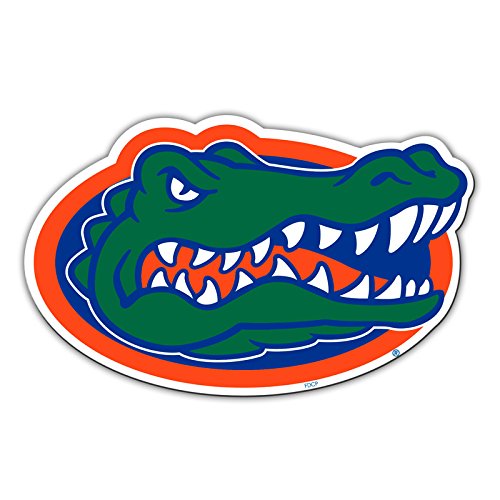 Yves Official National Collegiate Athletic Association Fan Shop Authentic NCAA Team Magnet Banner Logo. Magnet Approx 12" Diameter. Great for Cars, Man Cave Fridge, Boats