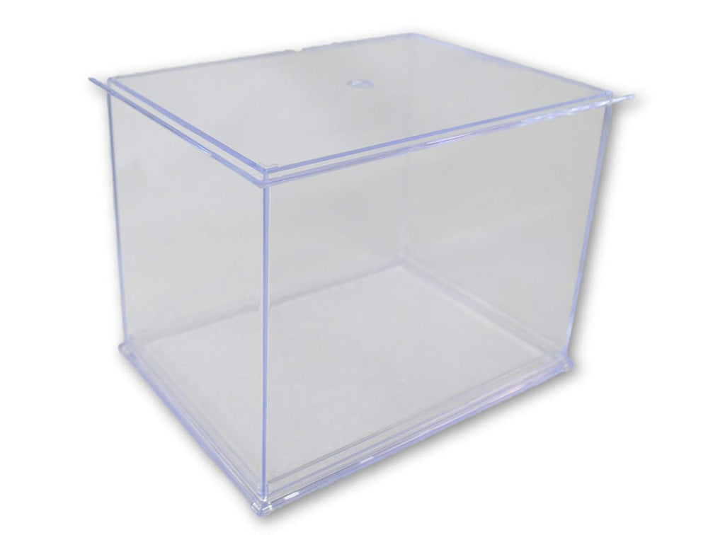 Official National Football League Fan Shop Authentic NFL Mini Speed Helmet and Display Case Bundle. Great Sports Fan Collectible - Office, Home or Man Cave