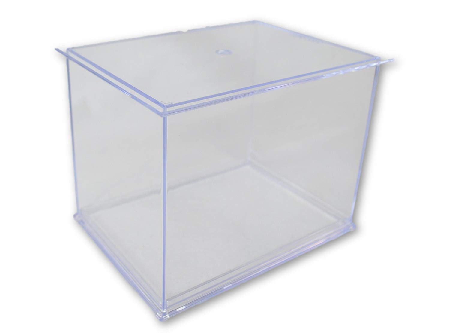Official National Football League Fan Shop Authentic NFL Mini Speed Helmet and Display Case Bundle. Great Sports Fan Collectible - Office, Home or Man Cave