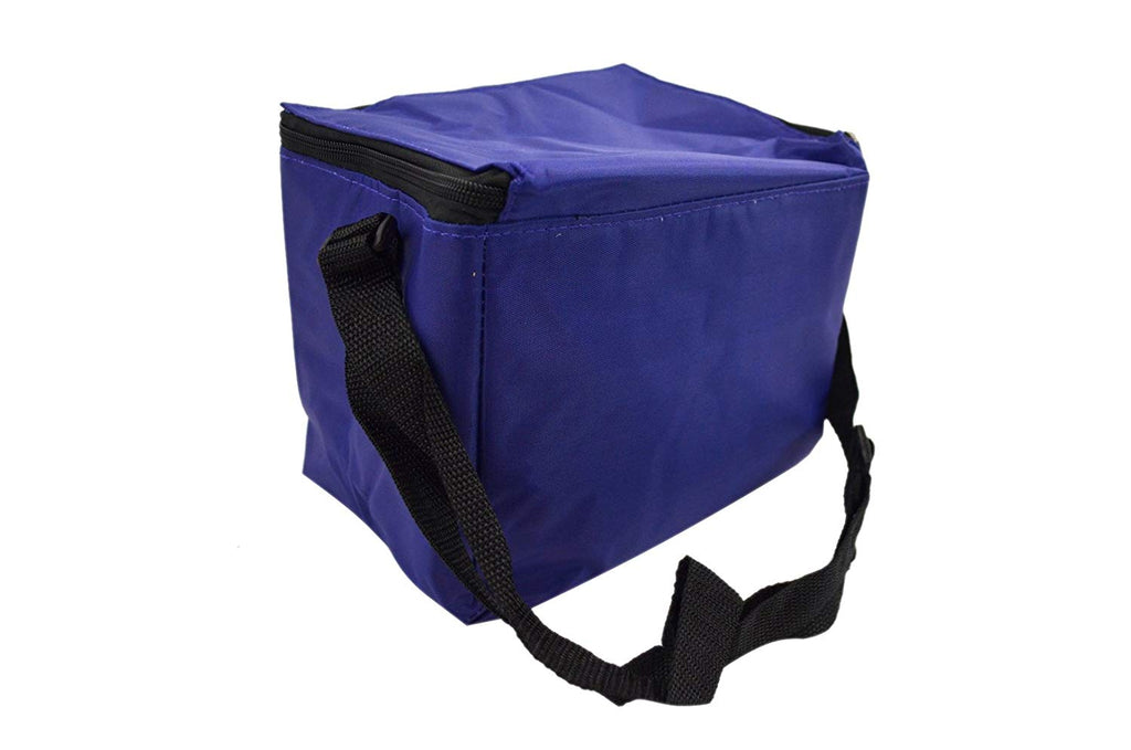 NFL Shop Collapsible Insulated Lunch Bag with Re-freezable Ice Packs Bundle
