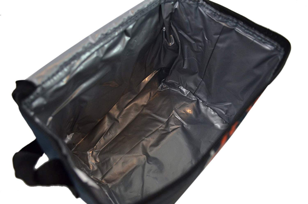 NFL Shop Collapsible Insulated Lunch Bag with Re-freezable Ice Packs Bundle