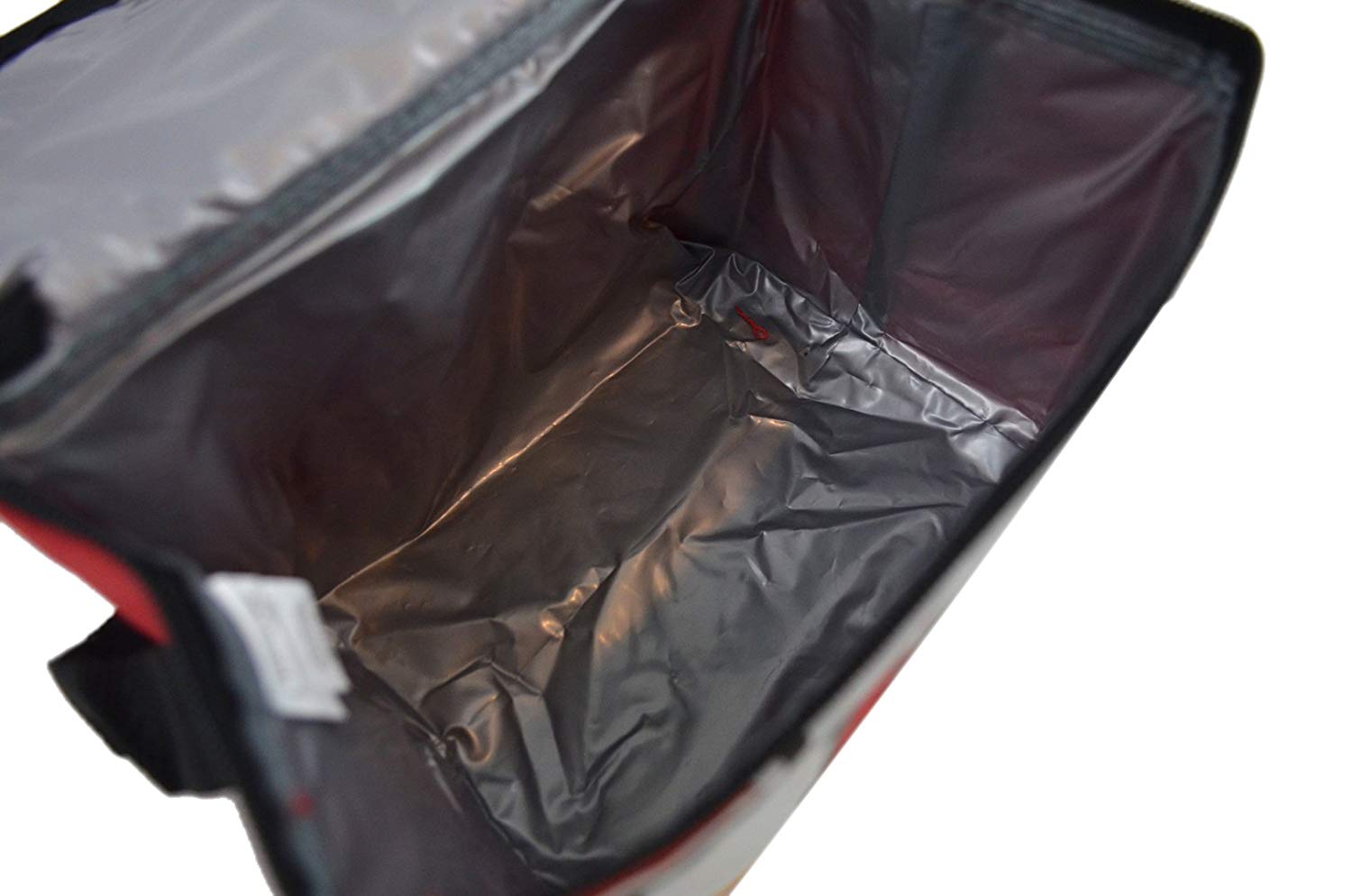 NFL Shop Collapsible Insulated Lunch Bag with Re-freezable Ice Packs Bundle