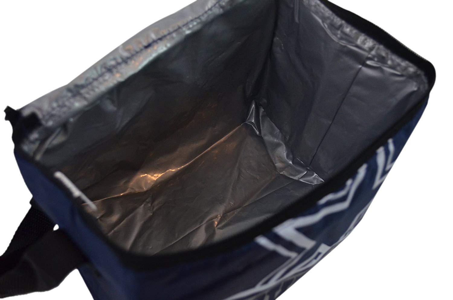 NFL Shop Collapsible Insulated Lunch Bag with Re-freezable Ice Packs Bundle