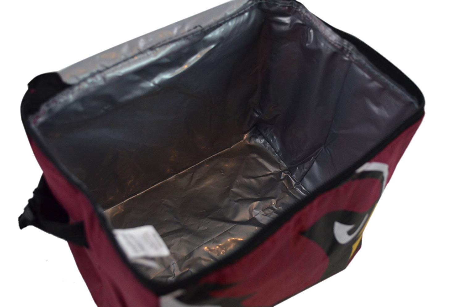 NFL Shop Collapsible Insulated Lunch Bag with Re-freezable Ice Packs Bundle