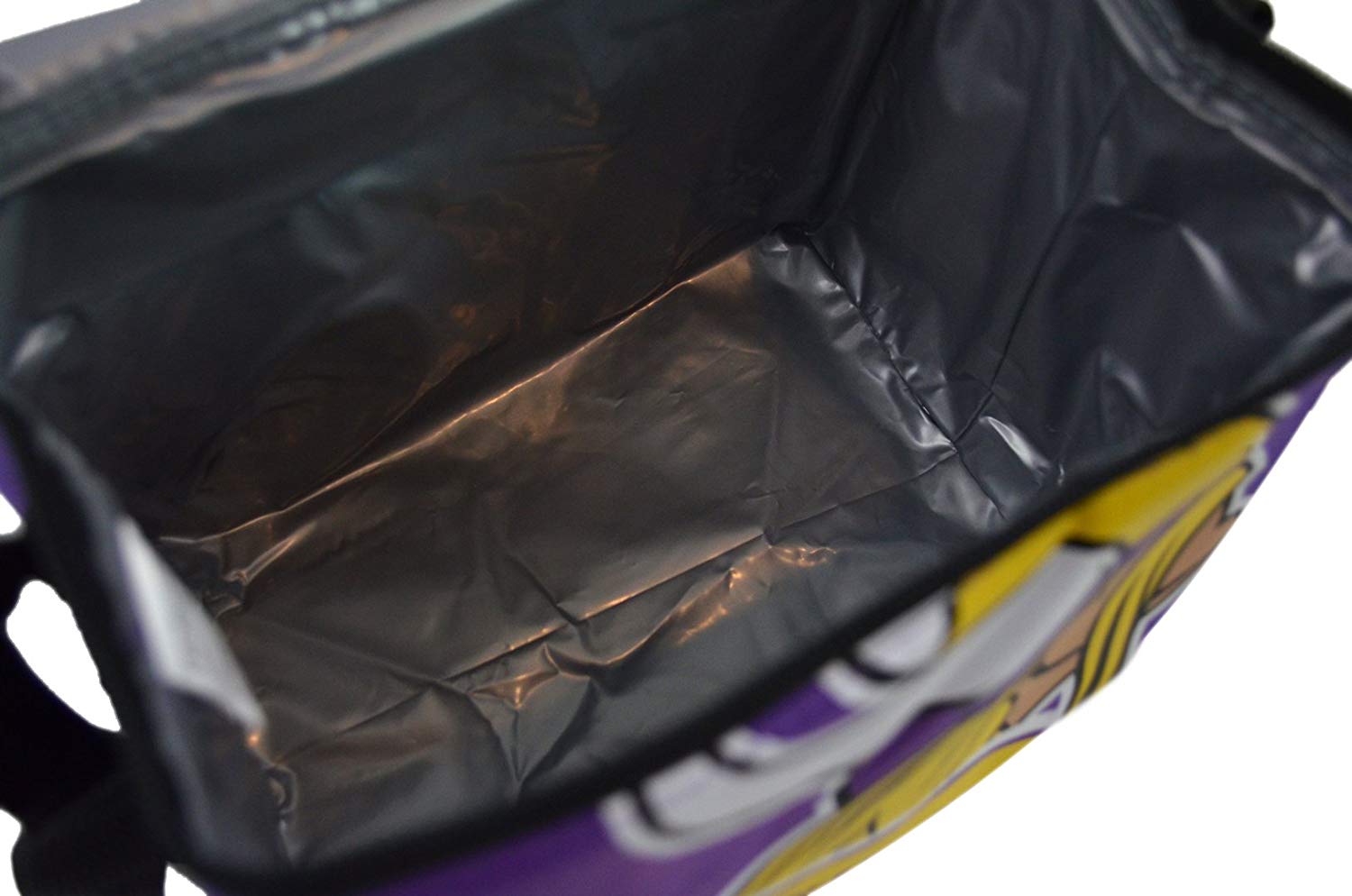 NFL Shop Collapsible Insulated Lunch Bag with Re-freezable Ice Packs Bundle
