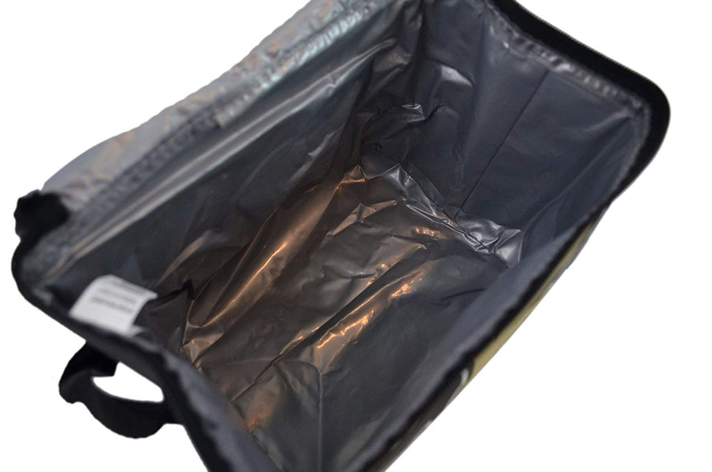 NFL Shop Collapsible Insulated Lunch Bag with Re-freezable Ice Packs Bundle