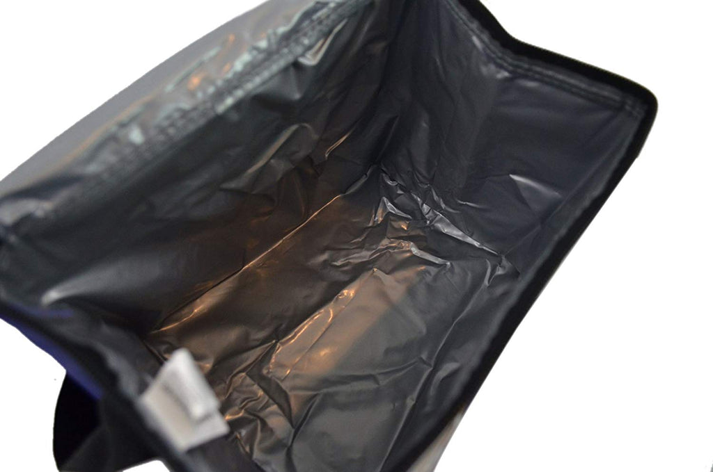 NFL Shop Collapsible Insulated Lunch Bag with Re-freezable Ice Packs Bundle