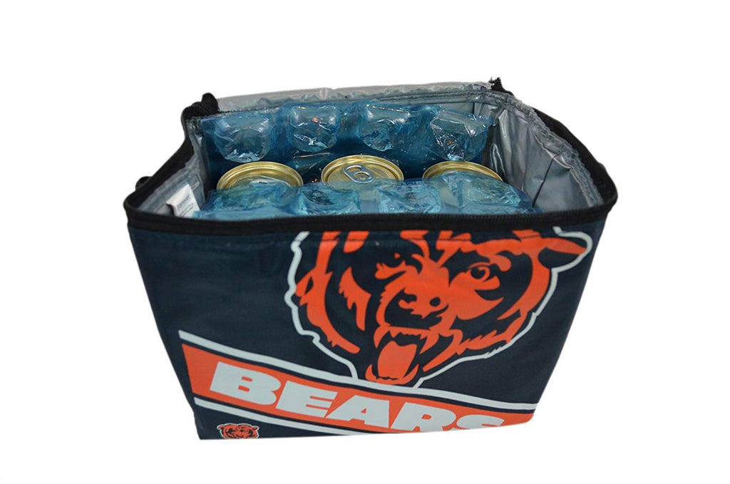 NFL Shop Collapsible Insulated Lunch Bag with Re-freezable Ice Packs Bundle
